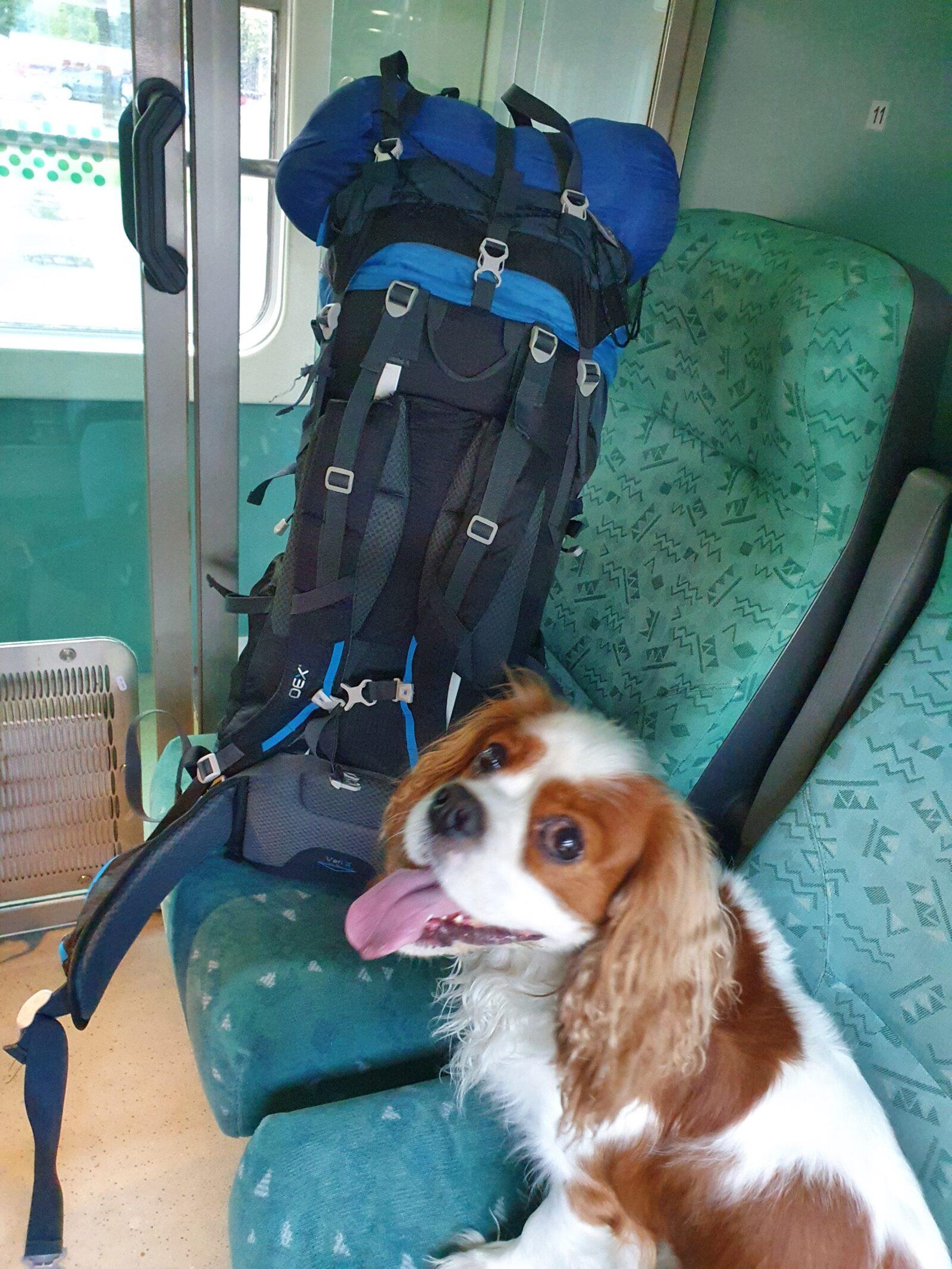 Backpacking with a dog
