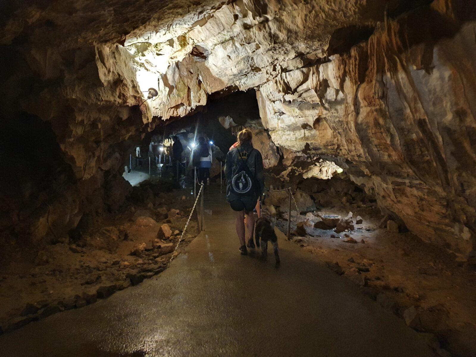 Caves Dog Friendly