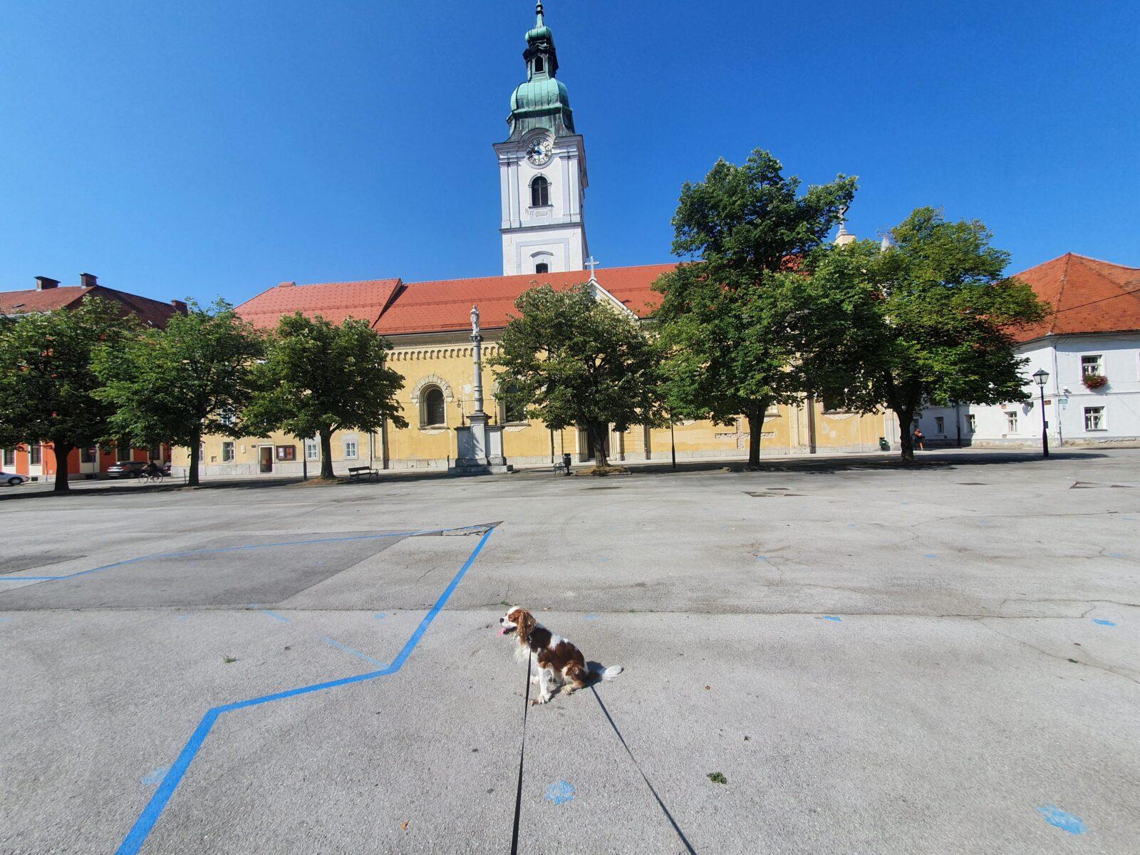 Church of the Most Holy Trinity Dog