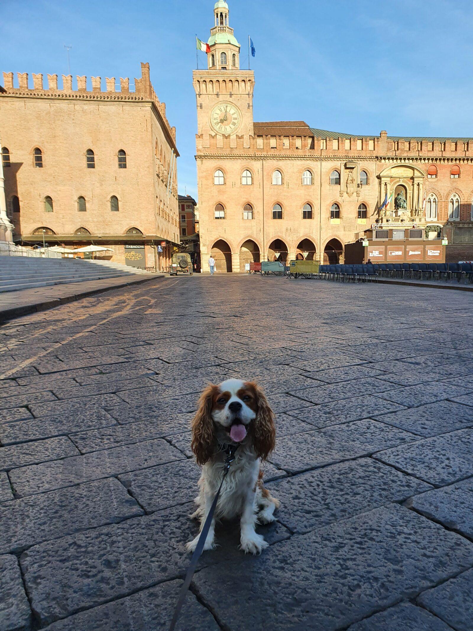 Clock tower