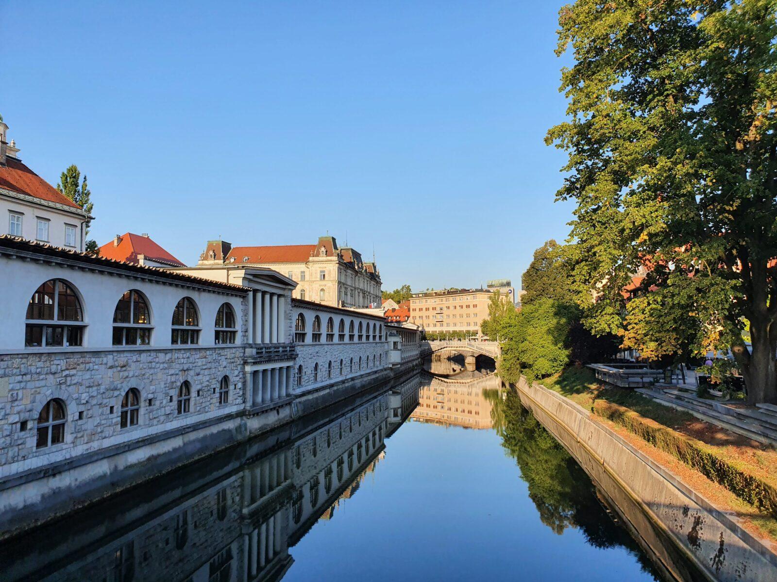 Market - River
