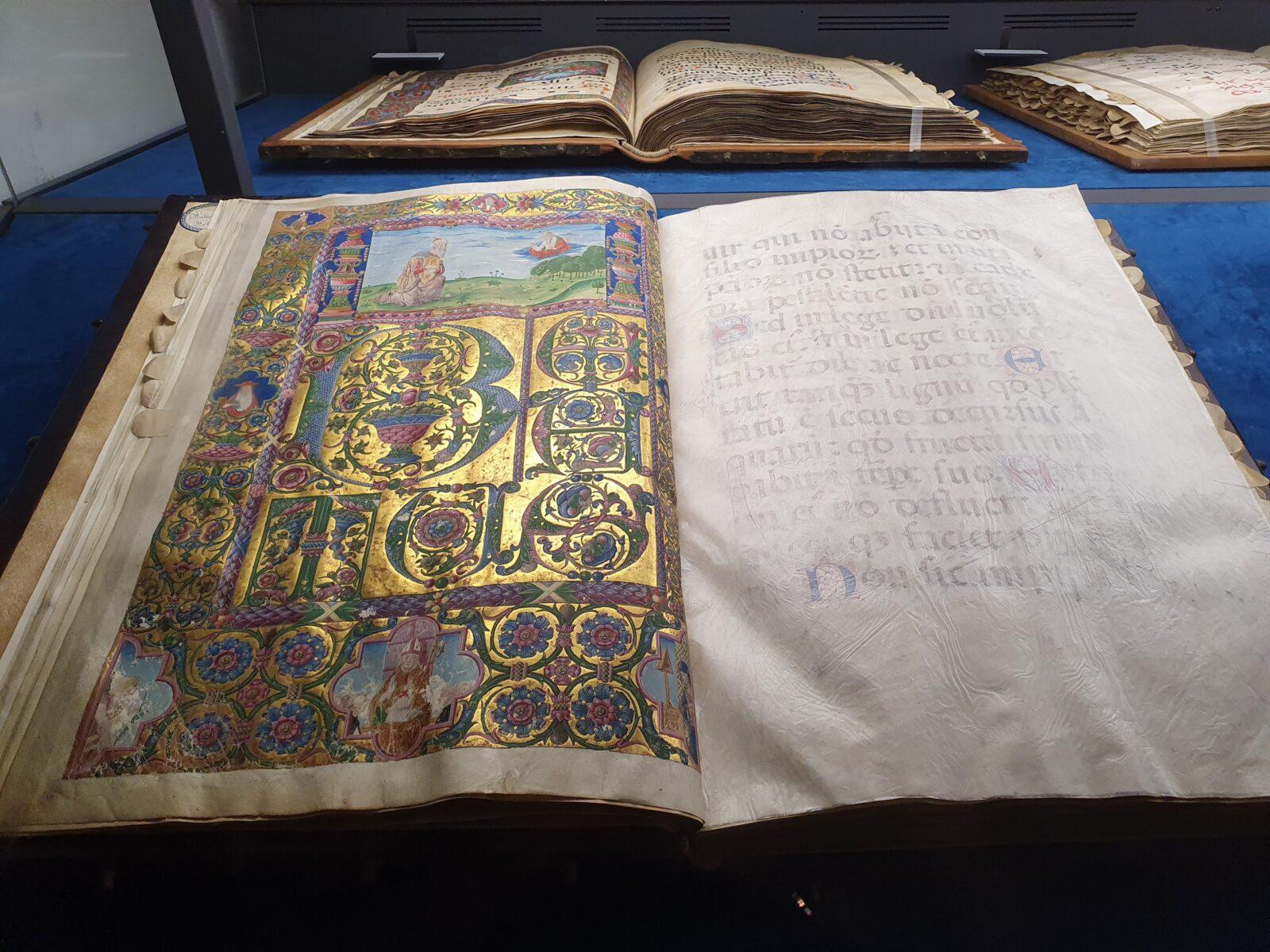 Museo Civico Medievale Books