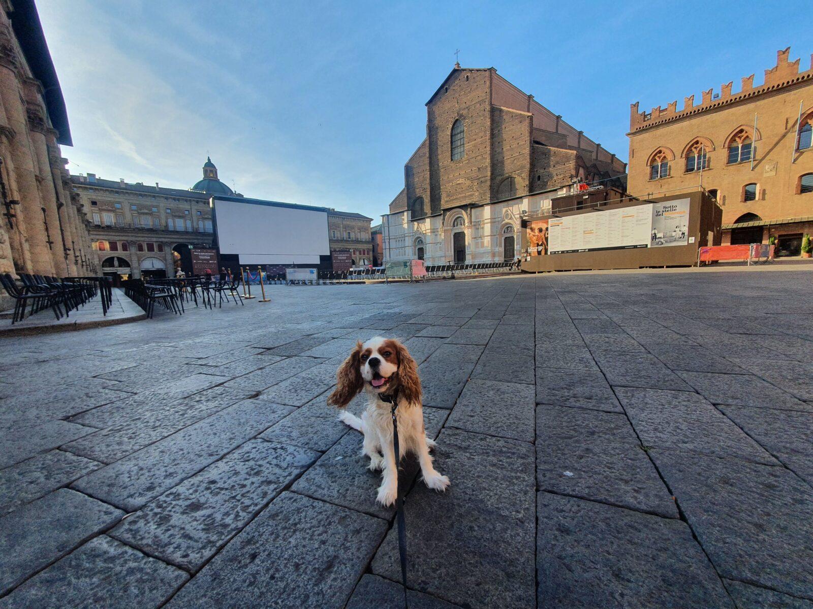 Piazza Maggiore Bologna