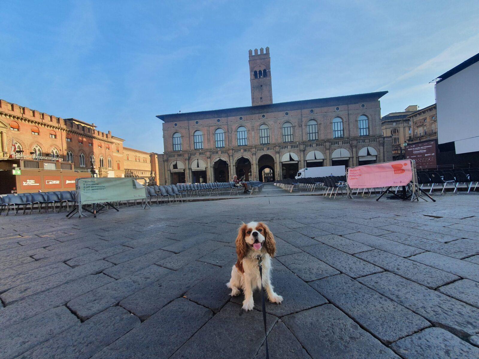 Piazza Maggiore