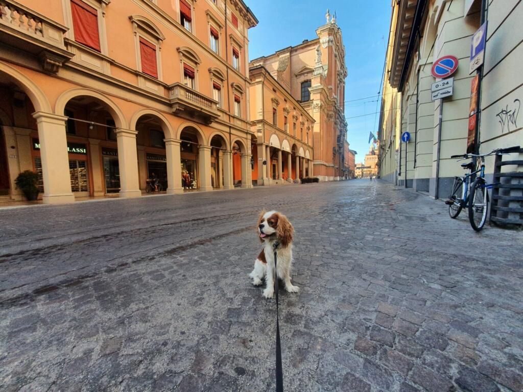Porticoes in Bologna