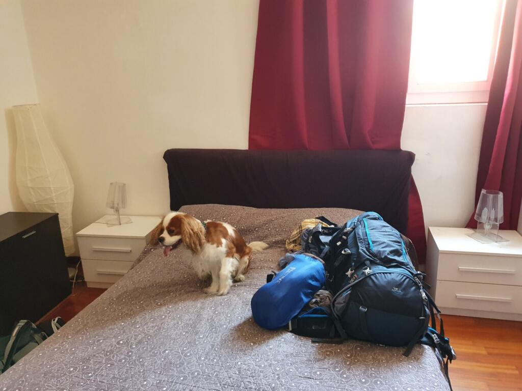 Residenza Piazza Dei Martiri Dog Friendly Bologna