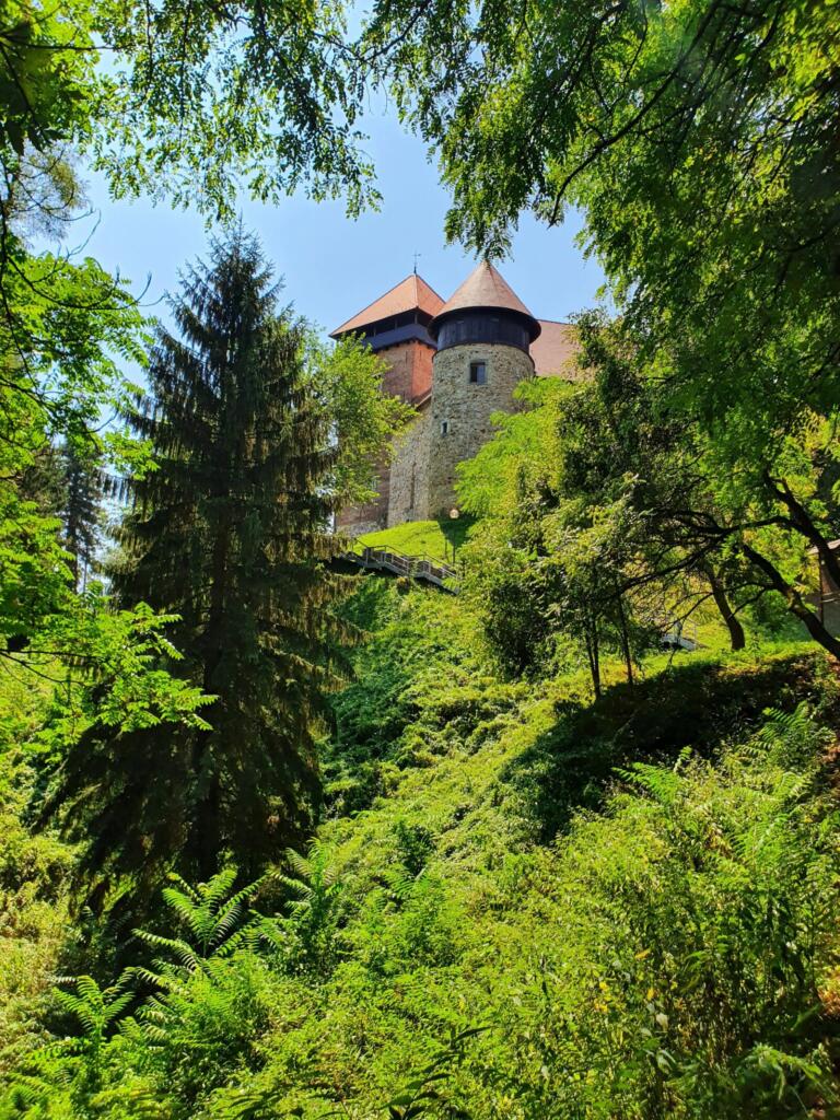 Stari grad Dubovac Walk