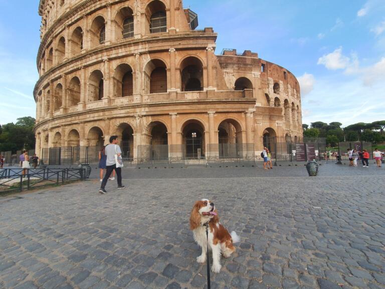 Colosseum Rome Italy