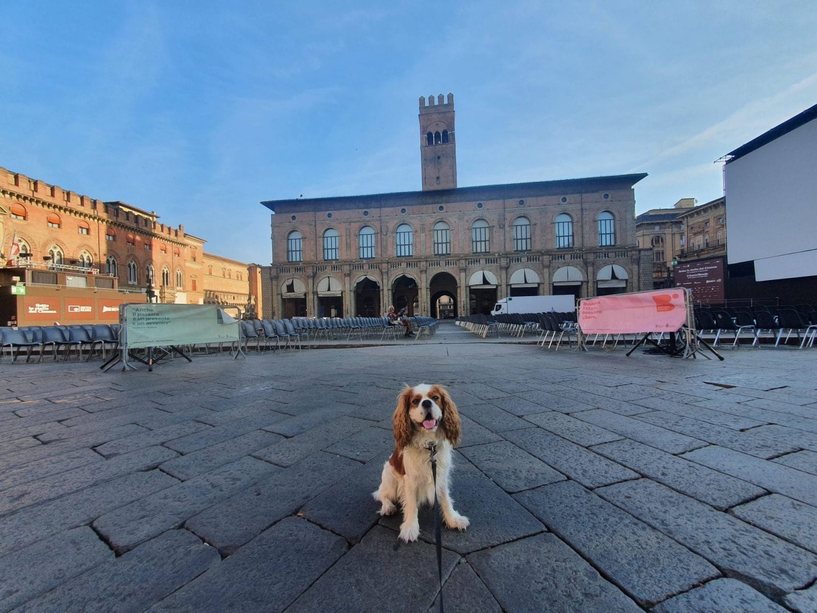 MAin sqaure Dog Walk