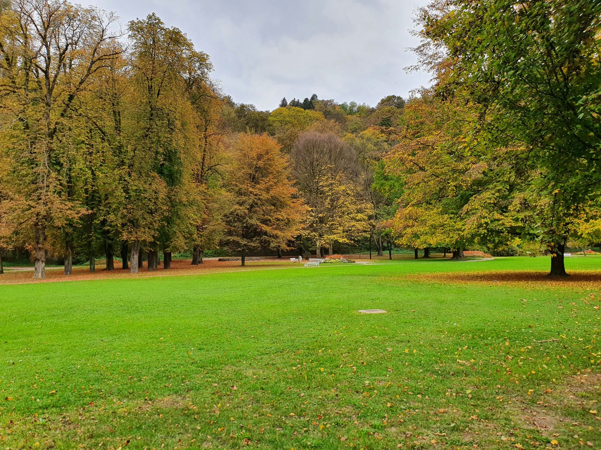 Mestni Park