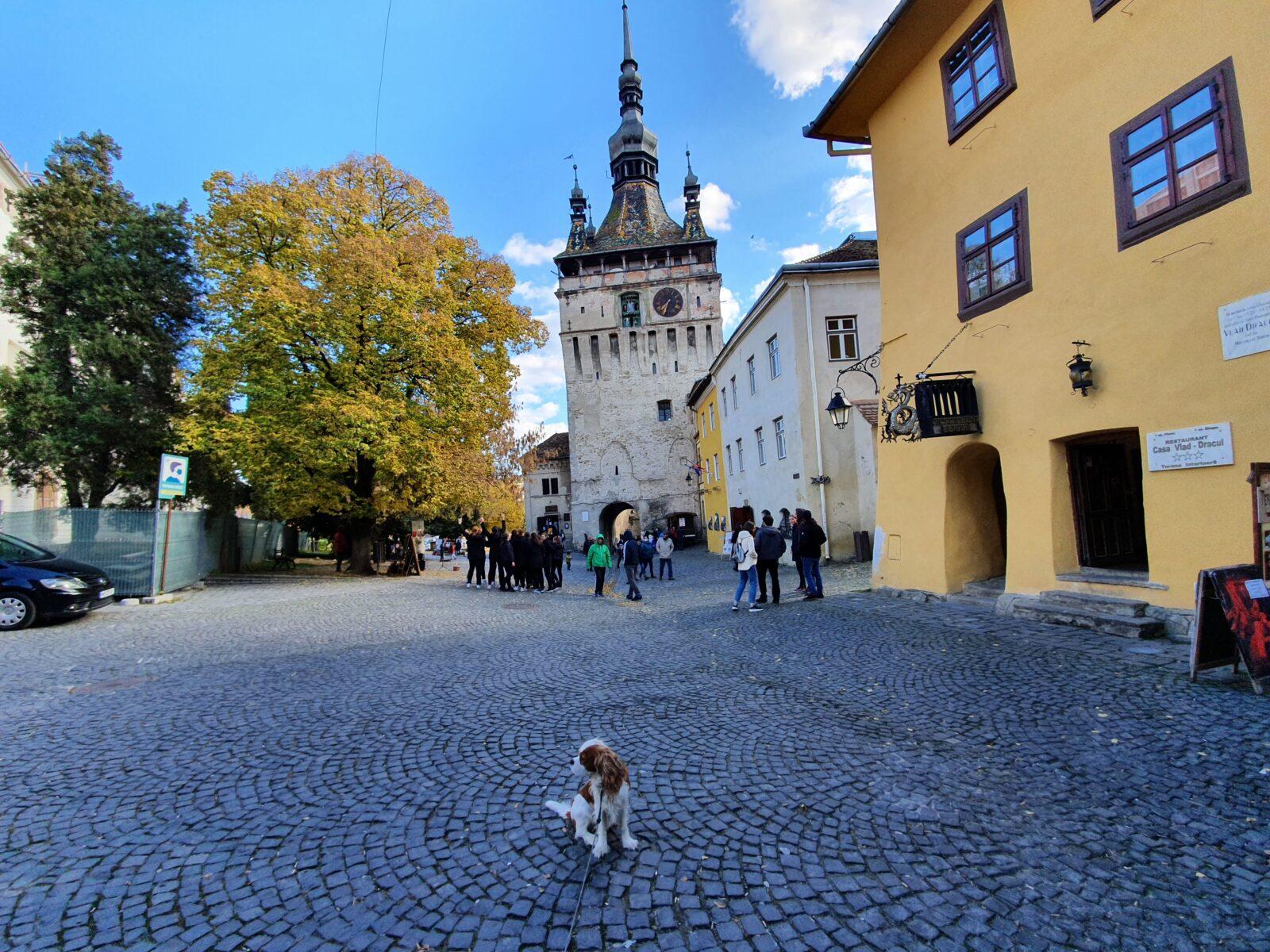 Sighisoara Autumnal