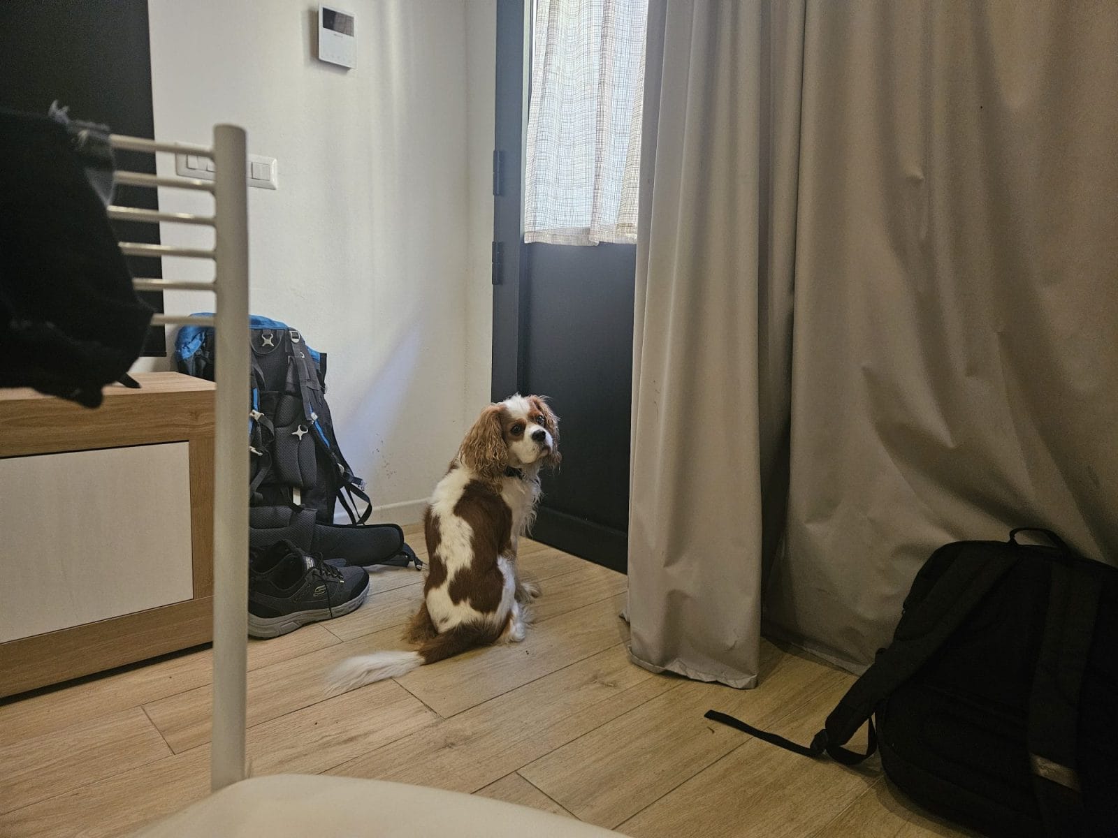 U Zone Apartment Bologna