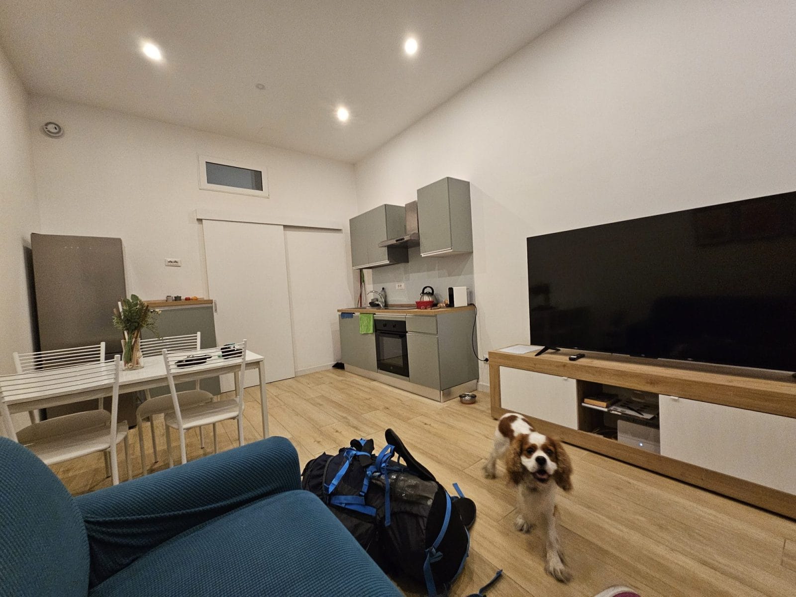 U Zone Apartment