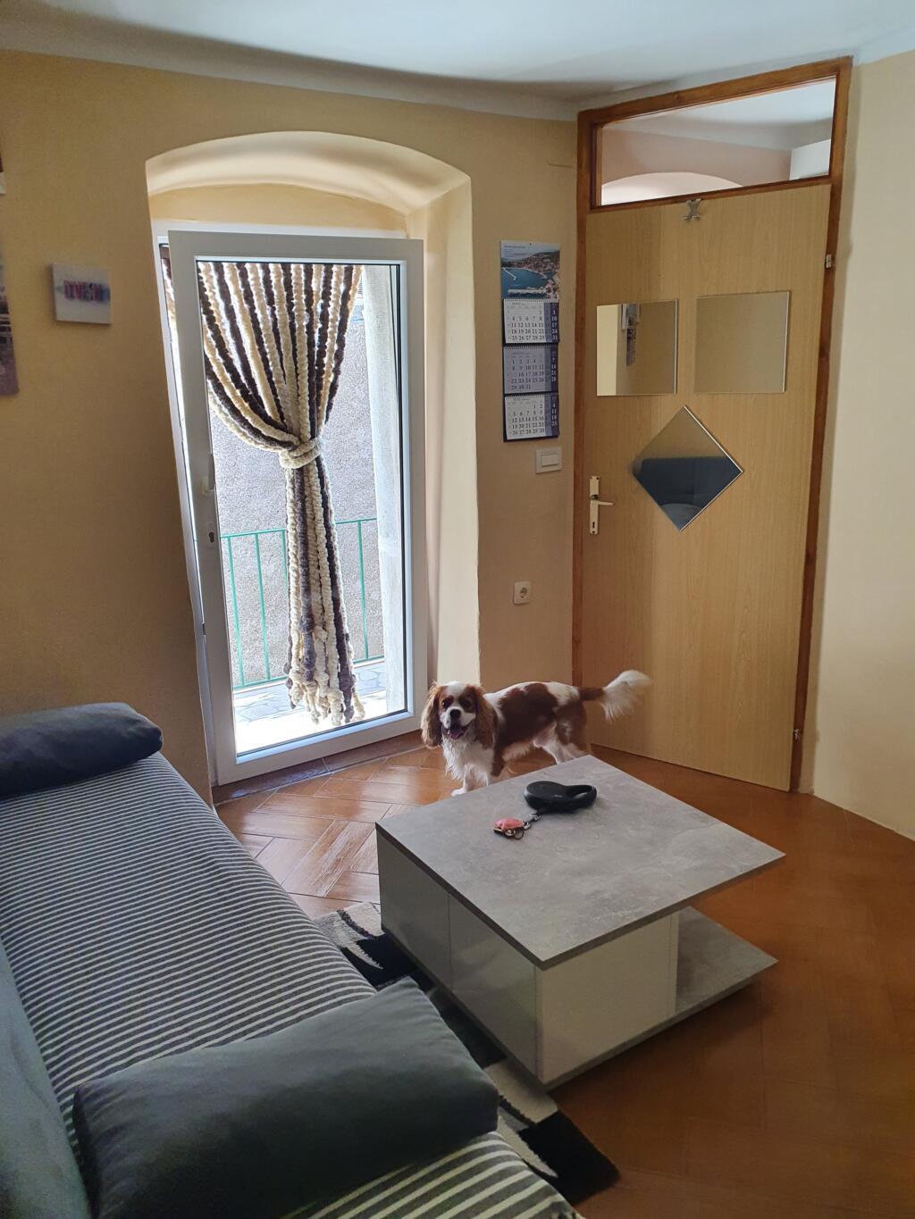 Apartment Mato Dog-Friendly
