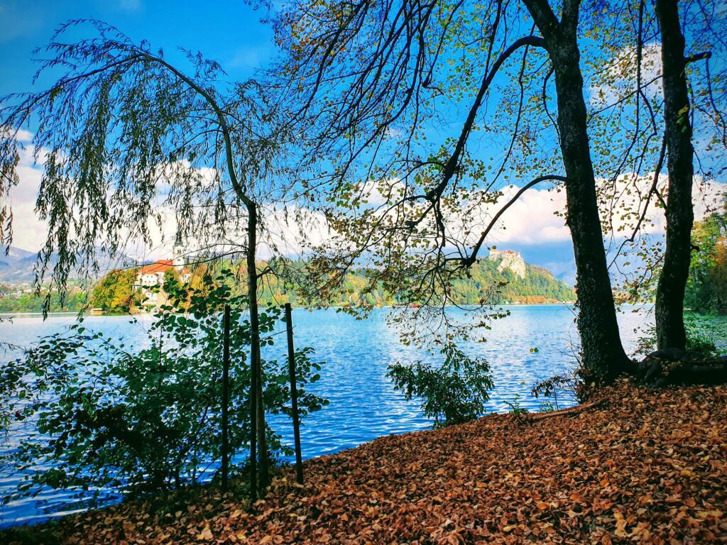 Banks of Lake Bled