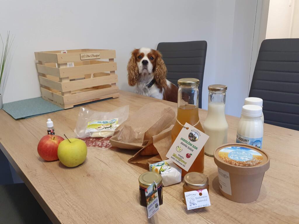 Bled Breakfast Dog