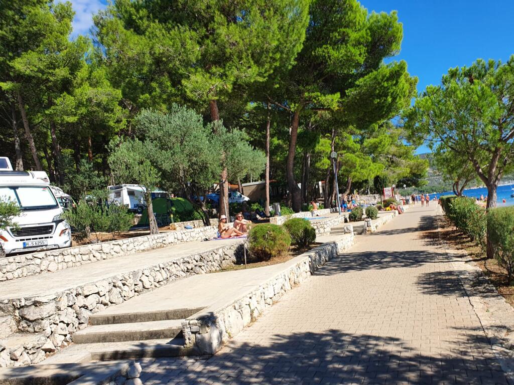 Campsite Cres