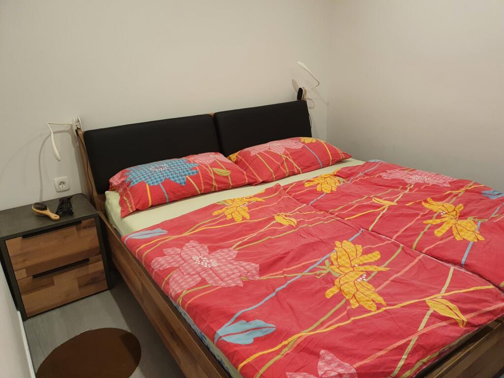 Dog Friendly Accommodation