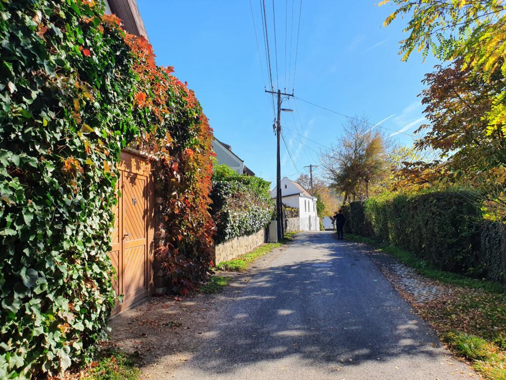 Hiking Country Lanes