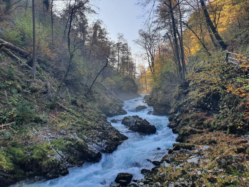 Misty Vintgar Gorge