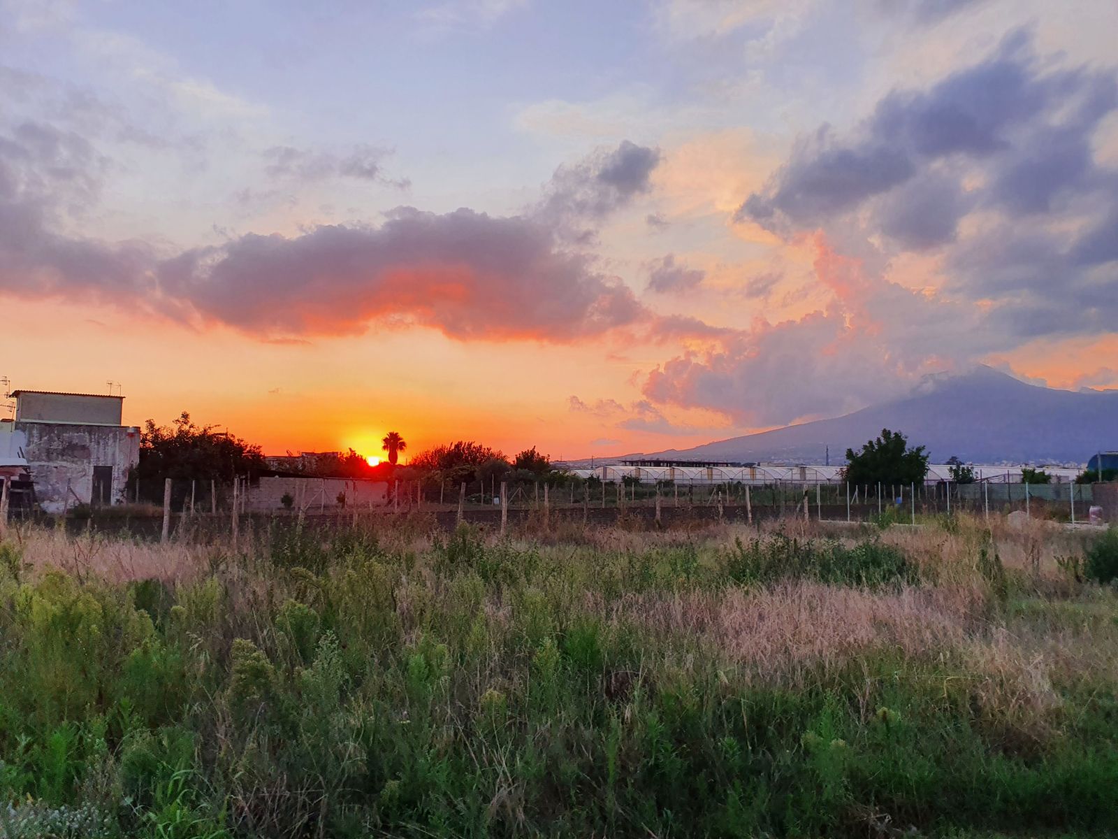 Pompeii Sunsets