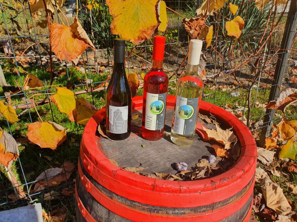 Rehelyi winery in Szigliget