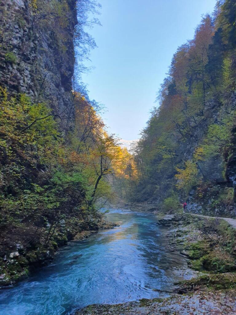 River at Vintgar Gorge