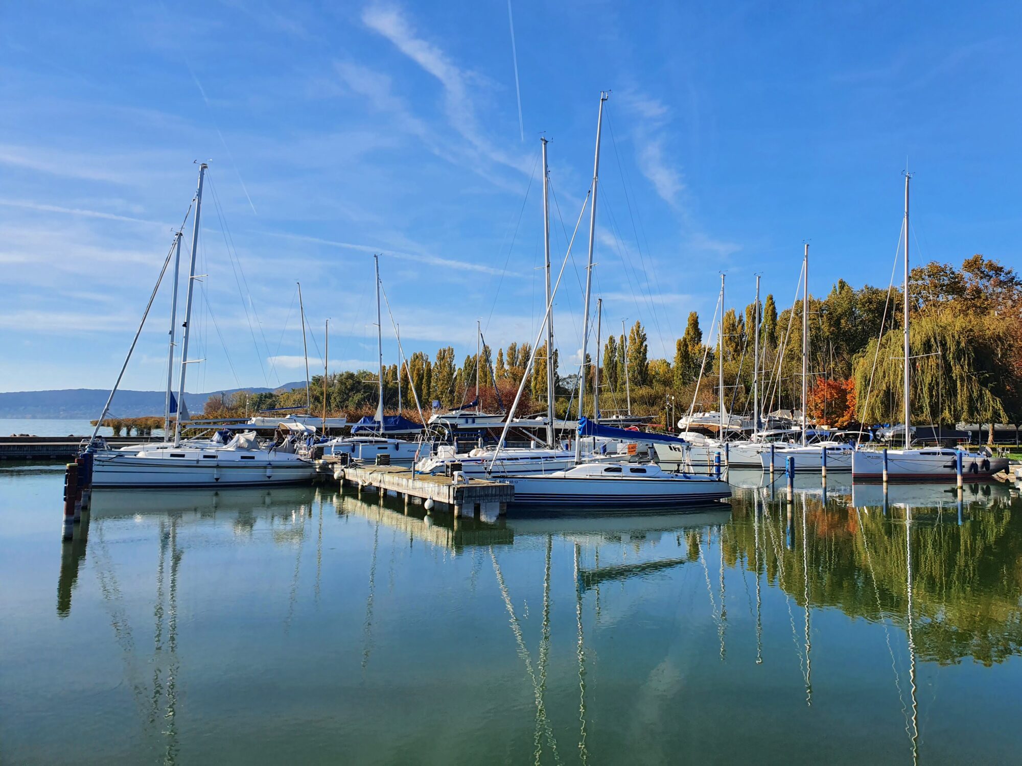 Sailing Club