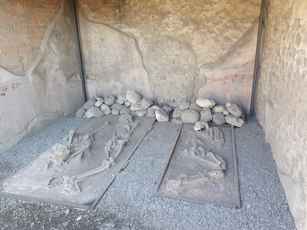 Skeletons