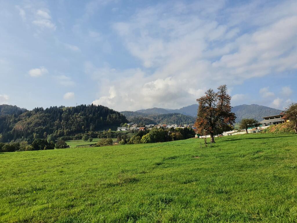 Spodnje Gorje Walks