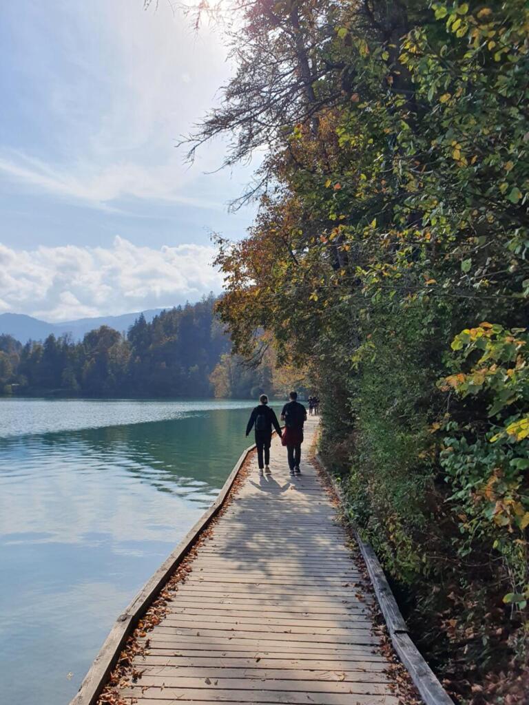 Wooden Walkway