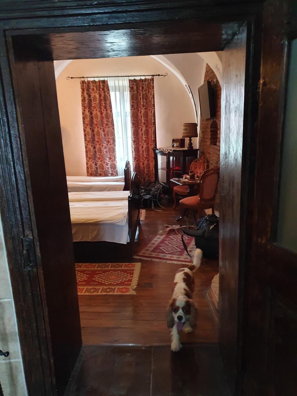 Casa Barocă a Dog Friendly Pension