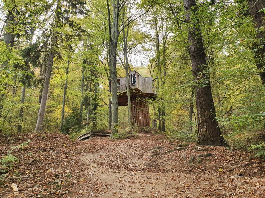 Celje Treehouse Walk
