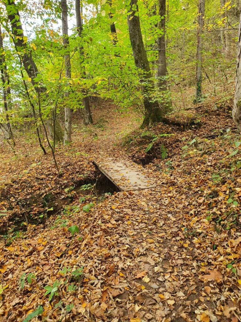 Hike to treehouse