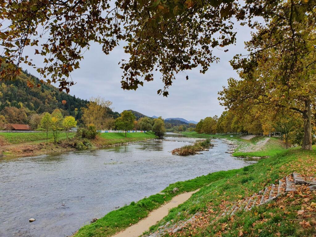 Rapids