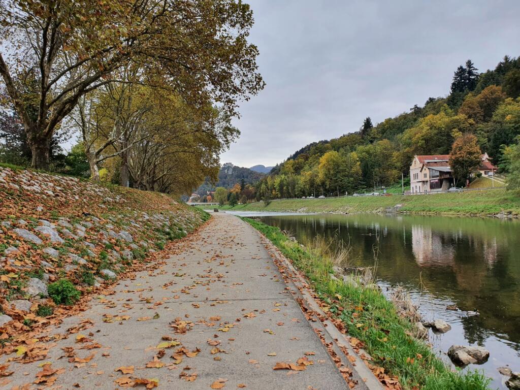 Reflections River in Celje