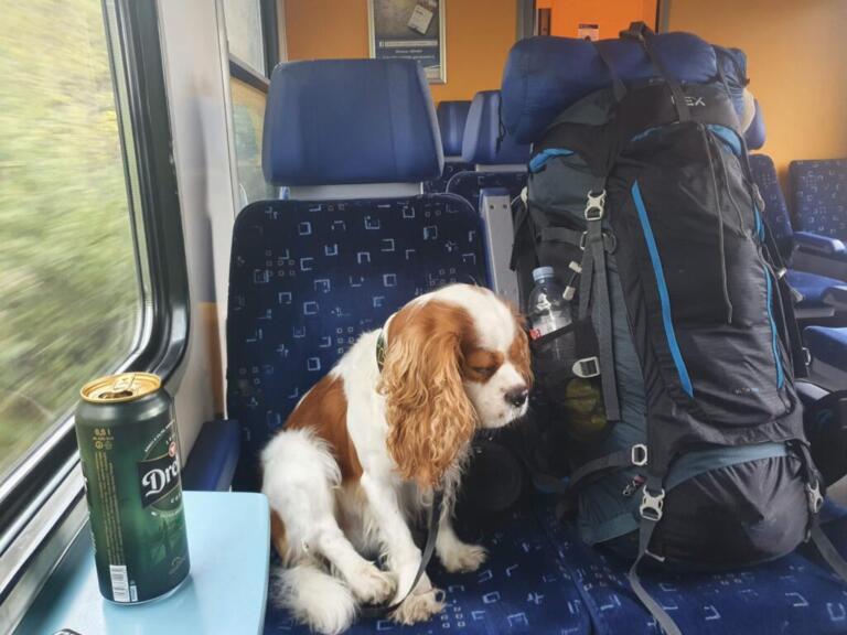 Backpack Interrail