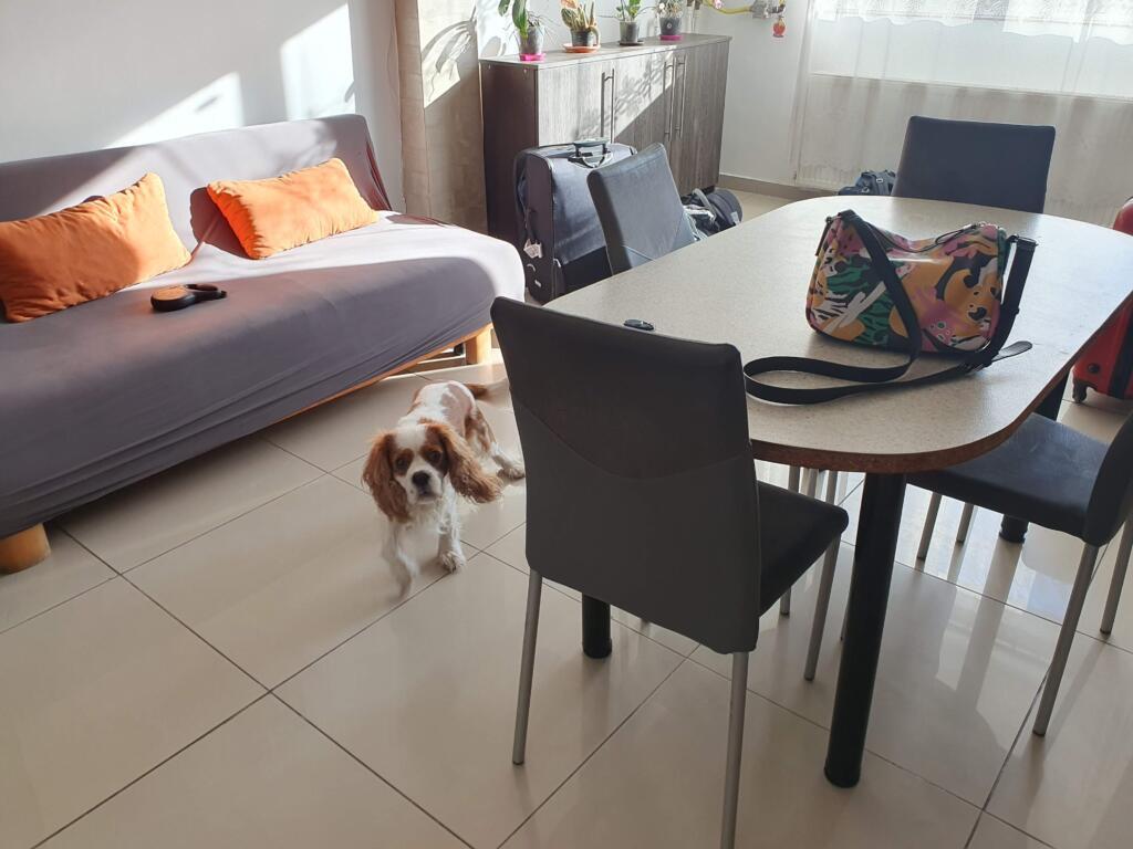 Csikos Apartment