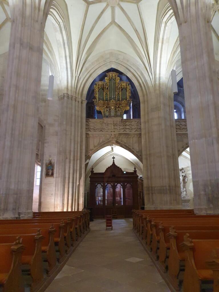Organ