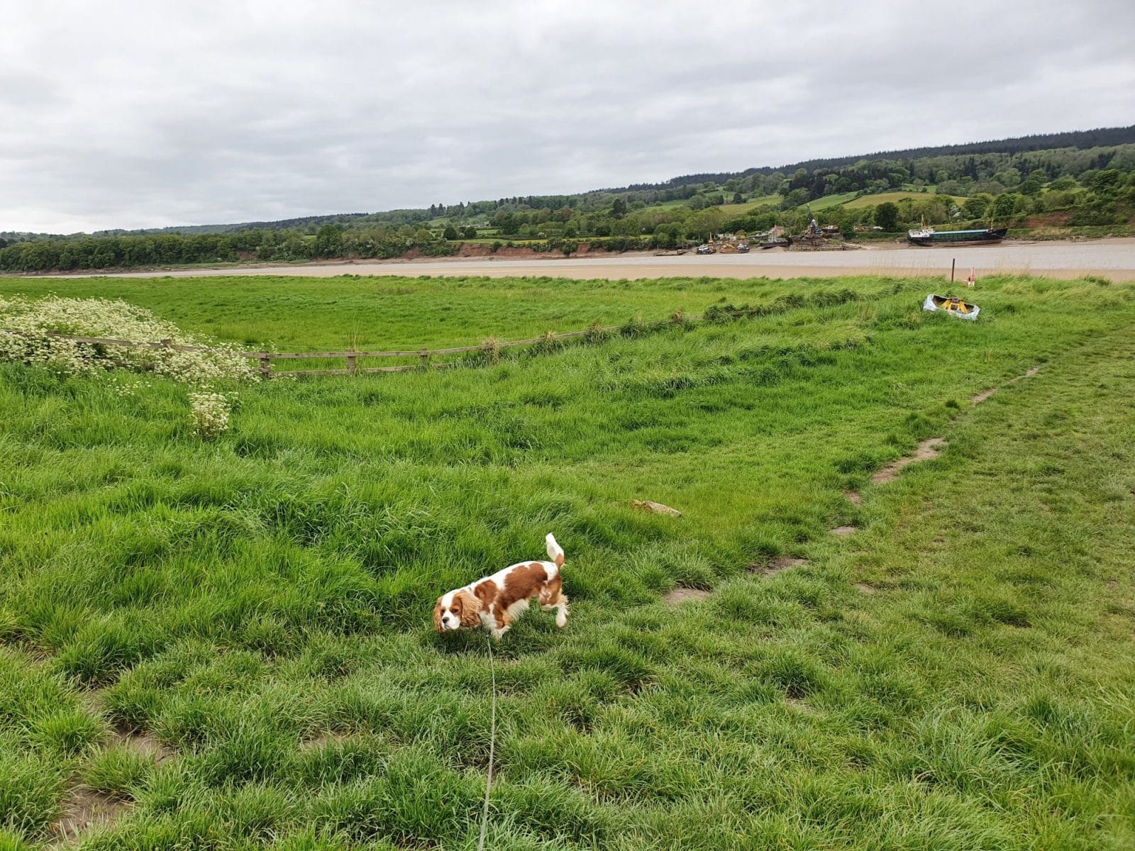 Severn Way Walk in Arlingham