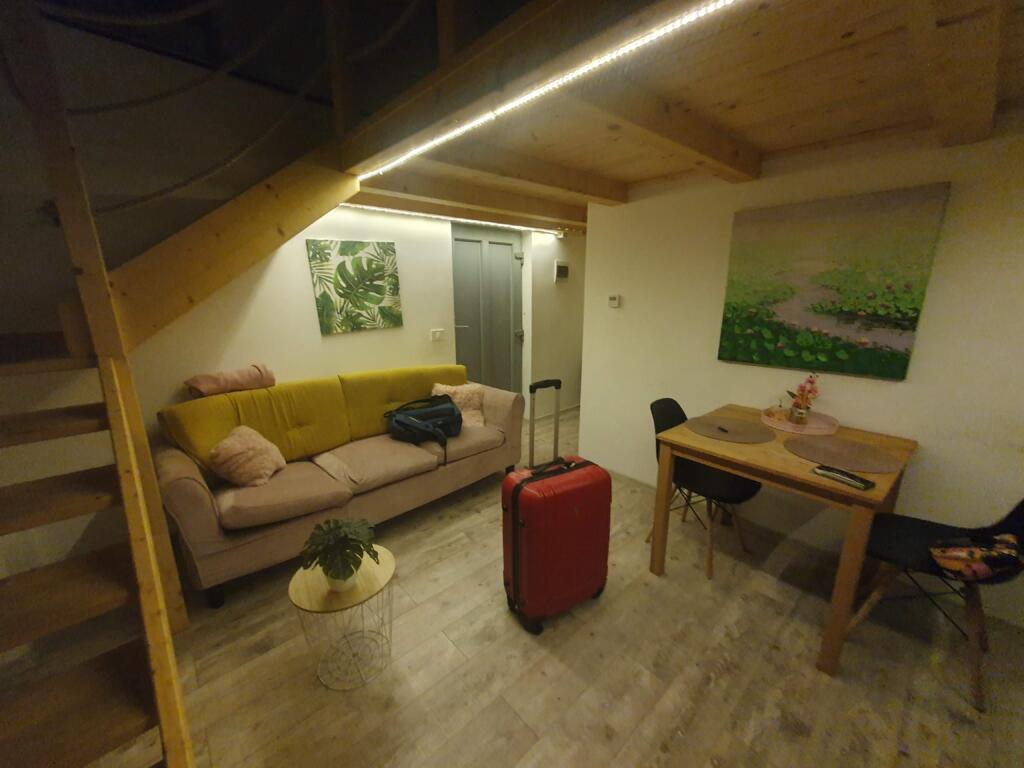The Central Apartament dog friendly
