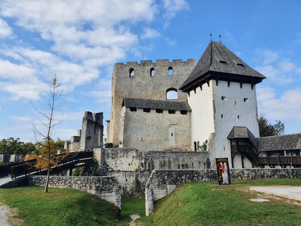 Castle Ruins