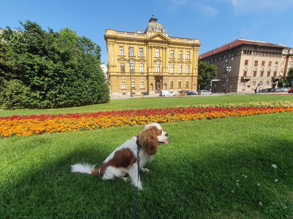 Croatian Museum of School Dog