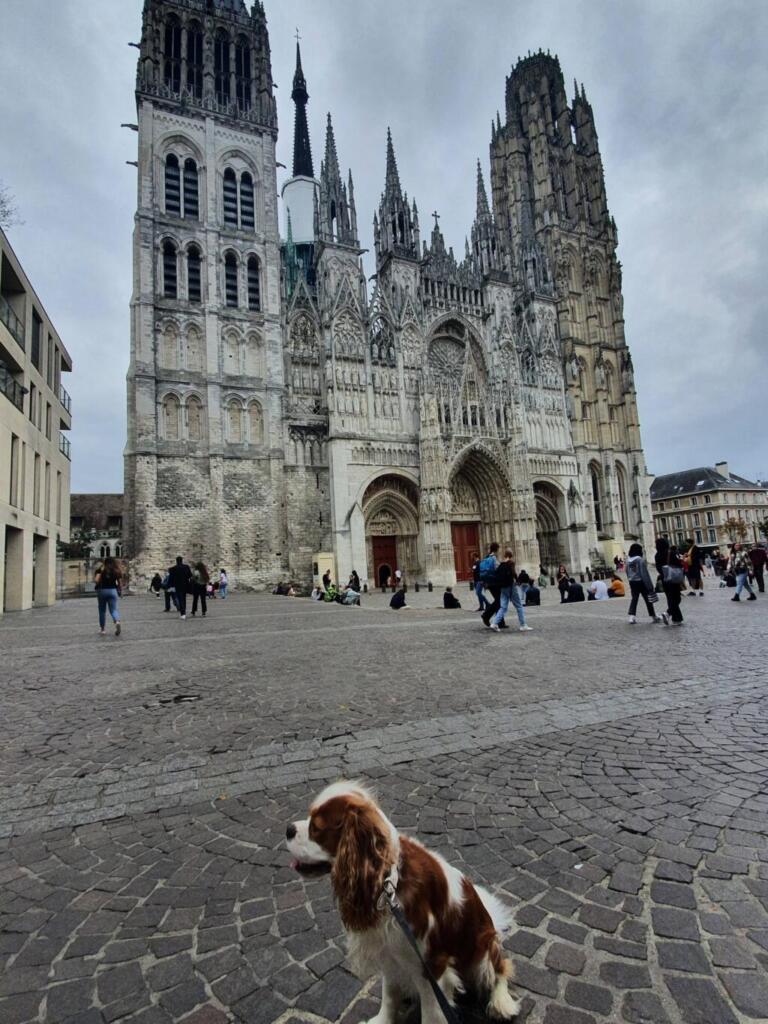 Dog Friendly Rouen