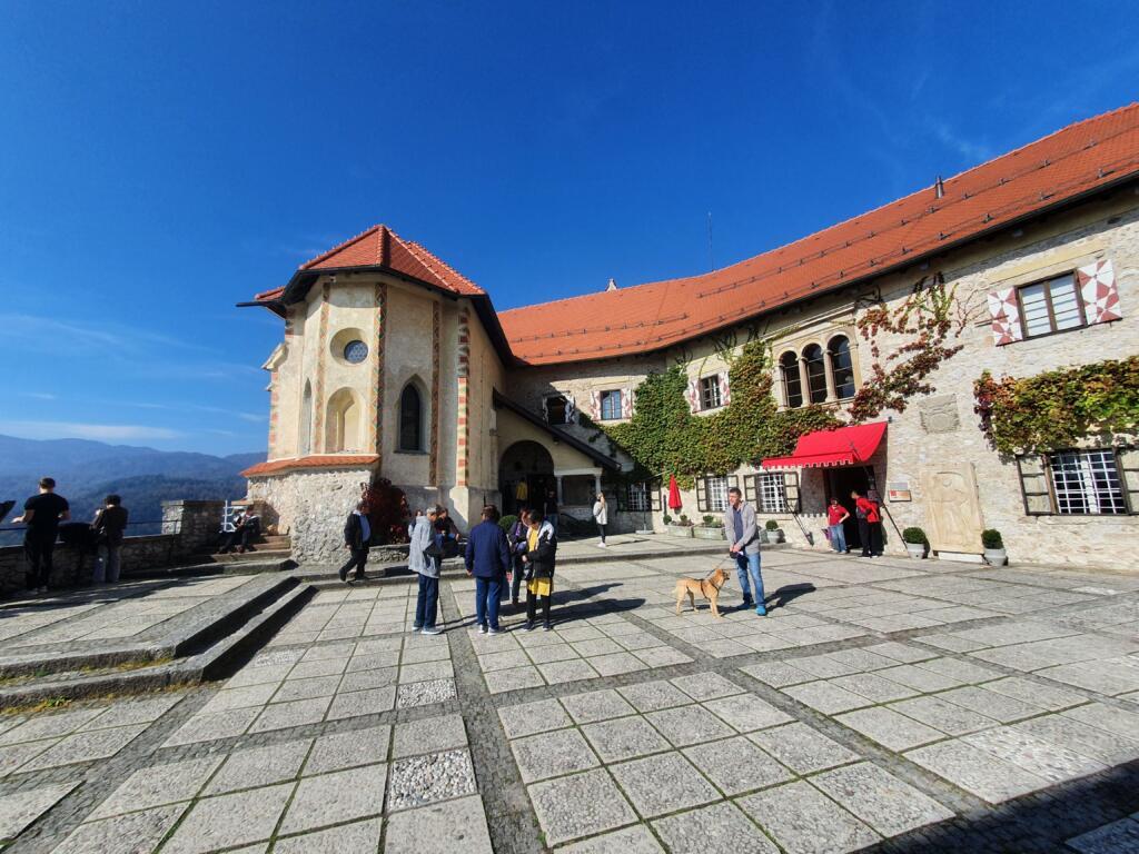 Dog Friendly Bled Castle