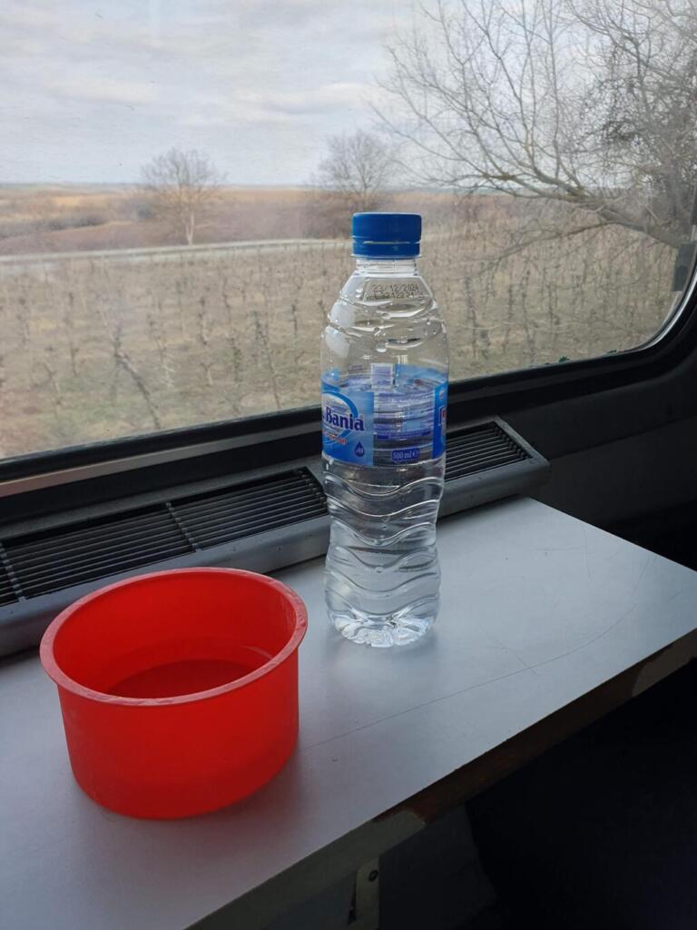 Dog Water