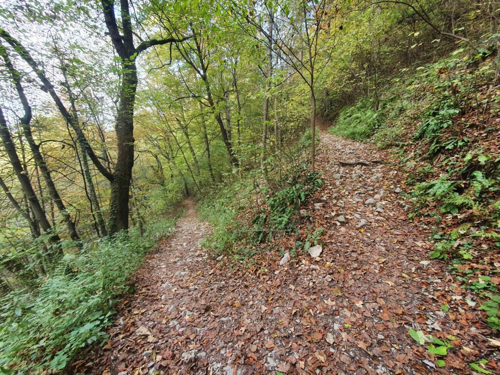 Hike to Castle
