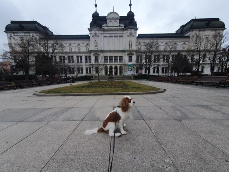 National Gallery