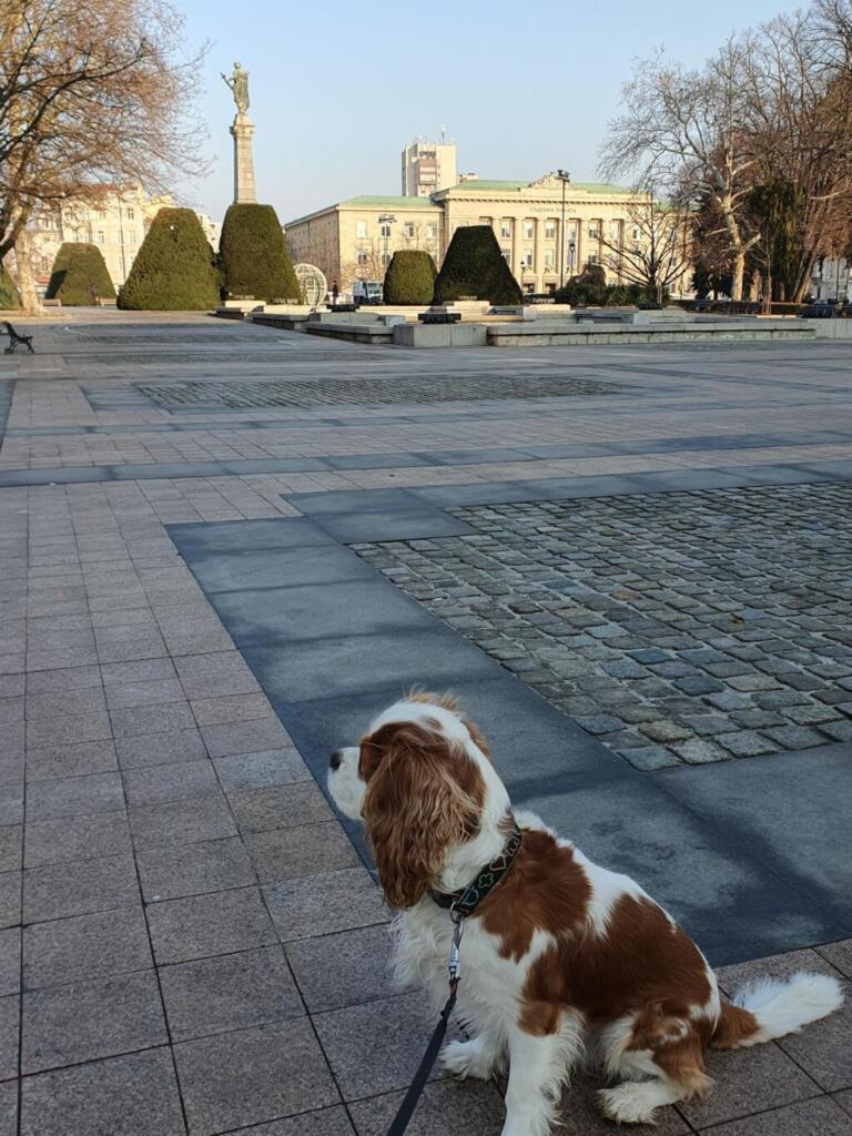 Ruse Bulgaria Travel Blog