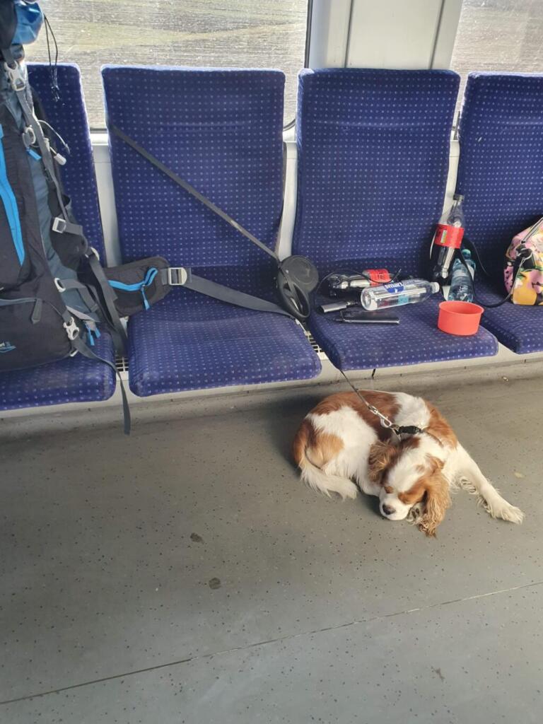 Train From Romania to Bulgaria